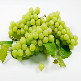 상품