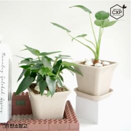 상품