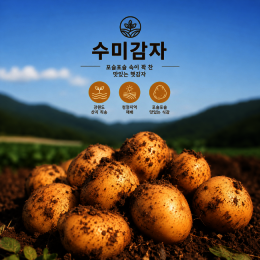 상품